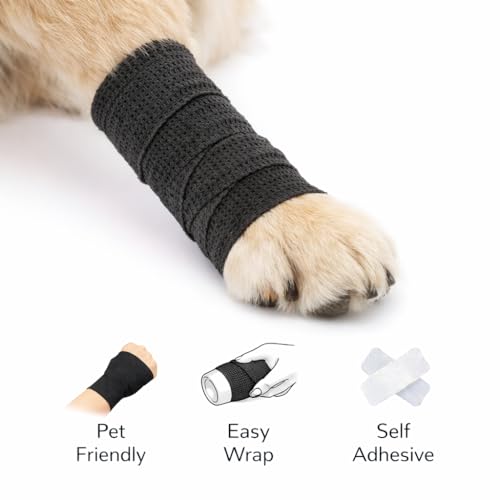 HARZ Self Adhesive Bandage Wrap – 24 Pack 2" 5yds Elastic Wrap Bandages – Stretch Non-Woven Color Tape Rolls – Athletic Cohesive Tape for Sports, Vet, Ankle, Wrist Wrapping (24 Pack Black, 2 Inch) - color: 24 Pack Black