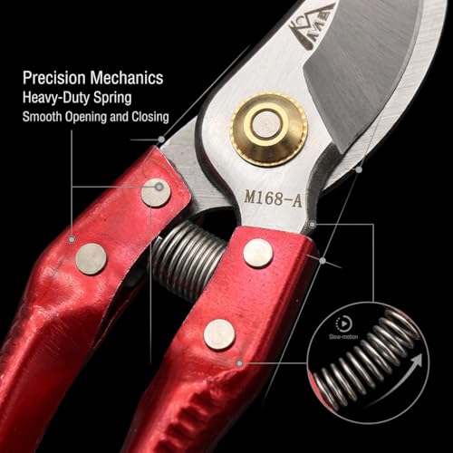 Goat Grooming Kit with Hoof Trimmer & 14 Inch Double-Sided Rasp - Hoof Care Tool for Goats, Pigs, Sheep, Horse, Includes Farrier Rasp & Trimmer Shears for Metal Filing