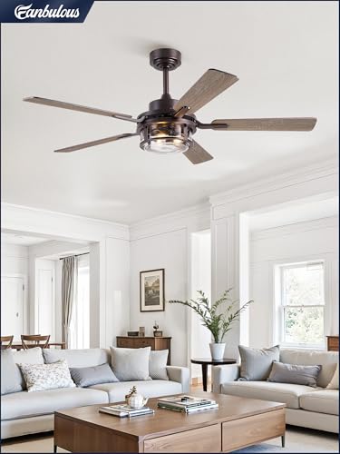 Fanbulous 52" Farmhouse Ceiling Fan with Light and Remote App, DC Motor | Rain Glass Shade, 6-Speed Reversible, Downrod Mount, Double-Sided Blades for Bedroom, Living Room Oil Bronze - color: Oil Rubbed Bronze