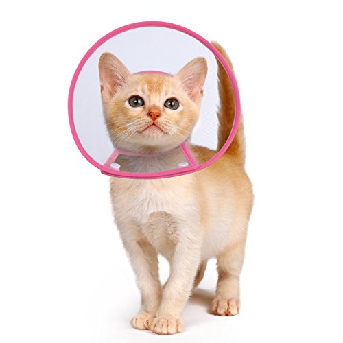 Cat Cone Collar, to Stop Licking, Recovery Elizabethan After Surgery, Clear Soft Neck E-Collar, Not Block Vision, for Kitten Puppy Dog Pet in Surgery Remedy - S in Rose | Stop Licking, Soft Cone, Clear Vision, Soft Padded Neck, Recovery Collar, After Surg