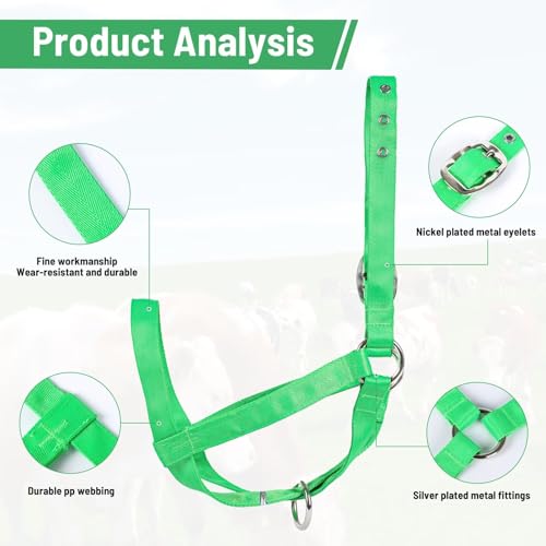 Cow Halter Cattle Halters Calf Halter with Leading Rope，Adjustable Nylon Livestock Cattle Halter，for Miniature Horse Donkey Goat Foal (Green, Small) - color: Green, size: Small