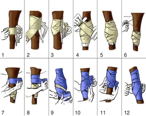 Elastic Polo Leg Wrap Compression Bandage for Horses, Dogs, Cats, Sheep, Cow, Dog Wound Care, Vet Wrap - color: Beige