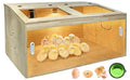 21-Piece Large Chicken Brooder Box 32", All-in-One Kit, Up to 35 Chicks Capacity, Brooder with Heat Lamps, Pee Pads, Thermometer, Cleaning Tools, Chick Brooder Box for Quail, Hamsters, Pattern A - size: 31.5"L x 15.75"W x 15.75"H