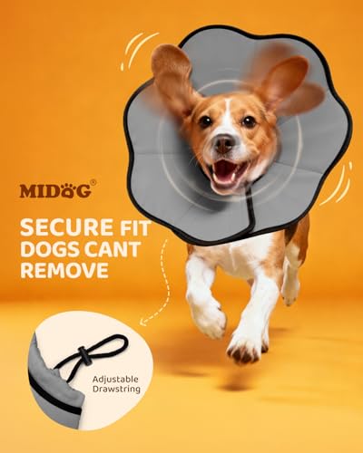 MIDOG Dog Cone Collar After Surgery, Soft Dog Cone Alternative to Stop Licking,Adjustable Elizabethan Recovery Cones for Small to Large Sized Dogs - color: Grey, size: L