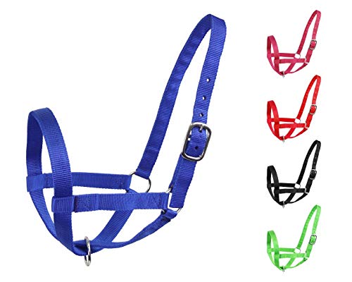 Derby Originals Adjustable Nylon Livestock Cattle Halters - color: Royal Blue, size: Small (250-500lbs)
