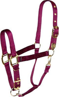 Hamilton Deluxe Adjustable Horse Halter, 800-1100 lbs, Wine | Premium Quality 1" Triple Ply Nylon, Average/Arabian/Yearling Draft, Adjustable Chin Strap, Throat Snap, Solid Brass Hardware - color: Wine, size: Average, 800-1100lbs
