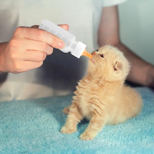 Pet Feeding Syringe with Nipple, Silicone Feeding Tools for Kitten Puppy Feeding Syringe for Newborn Cat Dog Small Animals Rabbits (1ml+3ml+5ml +10ml) - color: 1ml+3ml+5ml +10ml