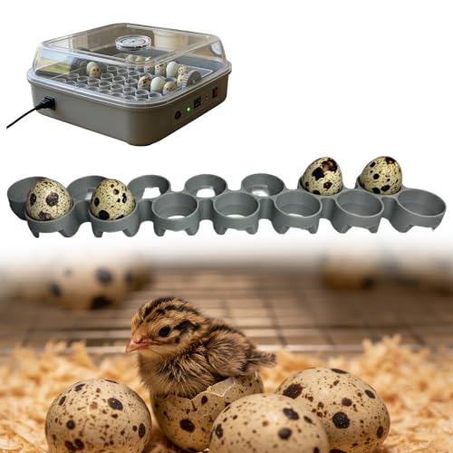Custom Quail Egg Turner Tray Compatible with Maticoopx 20 Egg Incubator | Precision Fit Hatching Accessory for Small Eggs, 14Slot Small Egg Tray Accessory - Durable Grey (M30) (Tray Only） - color: M30