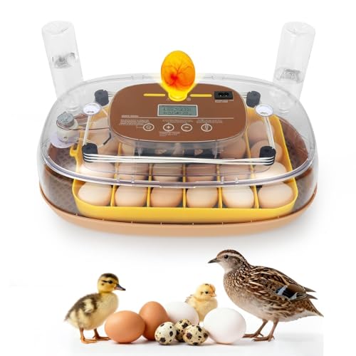 Series III - 24 Egg Incubator for Hobbyists, Full-Stage Adaptive Humidity (Dual-Bottle) & Temp Control, Custom-Interval Auto Turn & Auto Stop, Preset Incubation Days, Adjustable Egg Spacing - size: 24-Egg Brown