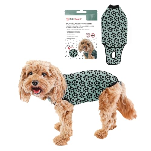 Dog Surgery Recovery Suit, Male Female After Spay Neuter Onesie | Soft Breathable Cotton, Anti-licking Cone Alternative, Protects Stitches & Abdominal Wounds, Patented Clip-up Potty System - color: Harbor Grey, size: Mini