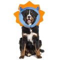 IEUUMLER Inflatable Recovery Dog Collar, Protective Donut Cone, Adjustable Soft Collar for Dog and Cat After Surgery Prevent from Biting & Scratching EU002 - Blue Demon M - color: Blue Demon, size: Medium (Neck:8''-10'')