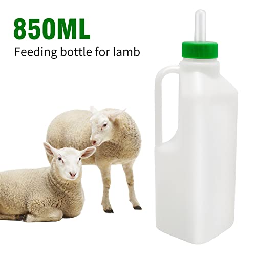 850ml Lamb Bottle Kit with Hand Grip for Newborn Farm Animals | Includes 5x Soft Replacement Teats, for Feeding Lambs, Calves & Piglets, Colostrum Nursing Bottle