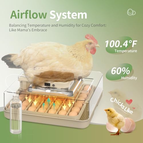 Egg Incubators for Hatching Eggs, Egg Incubator with Automatic Egg Turning and Humidity Control, Quail Eggs Chicken Egg Incubator (48 Eggs)