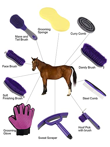 Horse Grooming Kit (12-Piece): Brushes, Storage Bag, Sweat Scraper, Mane Comb, Grooming Gloves - Purple Horse Gifts for Girls - color: Purple