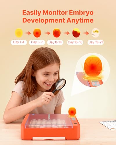 VEVOR 36 Egg Incubator, Automatic Egg Turner with LED Candler & Water Tray, Temperature & Humidity Control, 360° View Clear Window, Poultry Eggs Incubators for Hatching Chicks Ducks Goose Quails - size: 36 Eggs