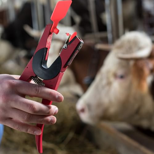 Lothee 100 Pcs Blank Cattle Ear Tags Large Plastic Precision Animal Identification Blank Livestock Ear Tags for Cattle Cow Horse Dog Pig Goat Sheep Farm Management (Red) - color: Red