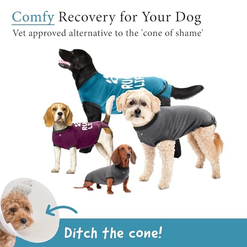 Dog Surgery Recovery Suit, Male Female After Spay Neuter Onesie | Soft Breathable Cotton, Anti-licking Cone Alternative, Protects Stitches & Abdominal Wounds, Patented Clip-up Potty System - color: Blue, size: Mini