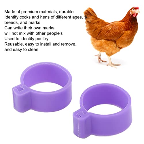 100Pcs Chicken Foot Ring Classification Marking Purple Poultry Foot Rings Plastic Chicken Leg Bands Round Identificaiton Tags Farming Tools (16mm-Purple)