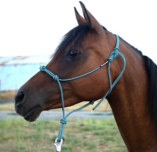 Horse Rope Training Halter - 4 Knot 1/4" Stiff Halter Cord - Used by Famous Trainers Multiple Sizes Multiple Colors - color: Beige, size: Weanling