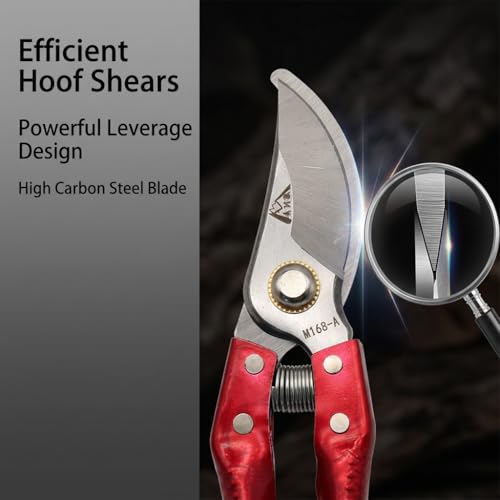Goat Grooming Kit with Hoof Trimmer & 14 Inch Double-Sided Rasp - Hoof Care Tool for Goats, Pigs, Sheep, Horse, Includes Farrier Rasp & Trimmer Shears for Metal Filing