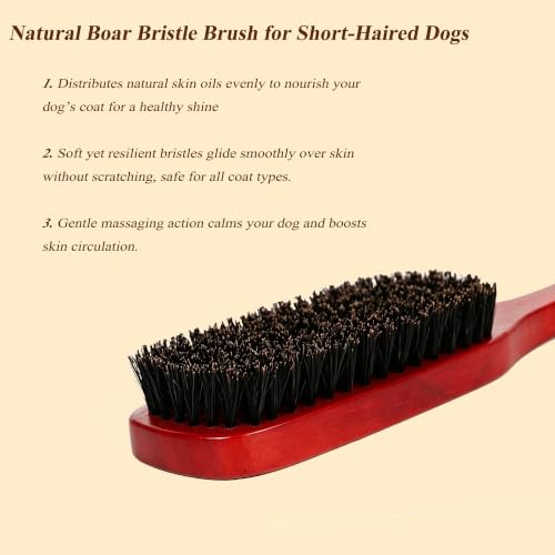 Boar Bristle Dog Brush for Short Haired Dogs, Natural Wooden Grooming Tool, Reduce Shedding, Detangle & Massage Sensitive Skin, Grooming to Calm Dogs & Build Pet Owner Bonding (Red sandalwood) - color: Red sandalwood