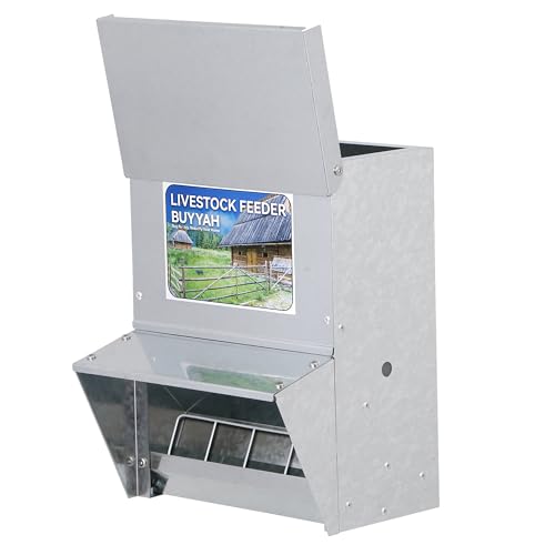 Automatic Chicken Feeder 30lb Capacity | Galvanized Metal Poultry Feeder, Waterproof Chicken Feeder, Suitable for Poultry, Geese, Quails, Bantams, Ducks and Turkey