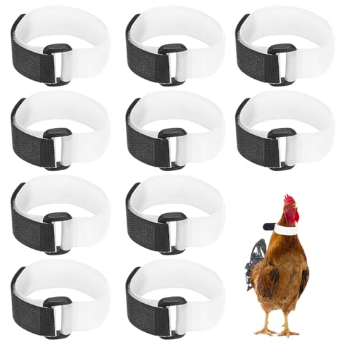 M METERXITY 10-Pack Rooster Collars, 8.07" x 0.79" Adjustable Soft Polyester Anti-Noise Neck Belt for Chickens and Poultry Birds, Noise Control Collar [White] - color: White