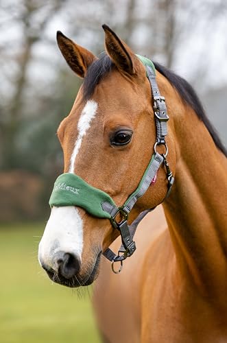 Lemieux Vogue Fleece Headcollar with Lead Rope in - size: Cob