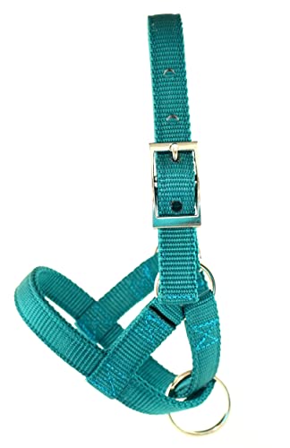 Alpaca Halter, S M L, Made in USA, Lead, Fence Tie, 24 Patterns, Figure 8, Small, Medium, Large, Livestock (Teal, Large)