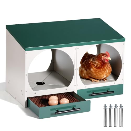 Chicken Nesting Box, Wall-Mounted Metal Roll Away Egg Laying Box | Galvanized Steel 2 Compartment Chicken Laying Boxes with Roll Away Egg Collection&Pull-Out Trays for Hens, Chickens, Ducks