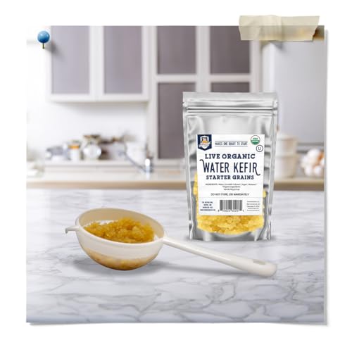 Nylon Mesh Strainer 2 Pack - Strain Your Wide Mouth Mason Jar Batches - Less Mess, Less Waste - Strain Your Water Kefir Grains - Homebrewing And Kitchen Essential - 2 Strainers - 3"