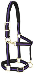 Weaver Leather Padded Adjustable Nylon Horse Halter, Purple, 1" Large Horse