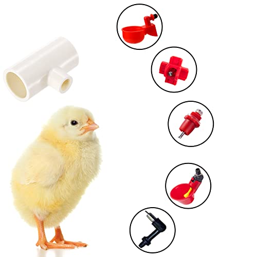 Hedume 40 Pack Chicken Waterer PVC Tee Fittings, PVC Tee Fittings for Threaded Poultry Nipples Chicken Water Drinker and Feeder Cups, Fully Automatic Poultry Waterers