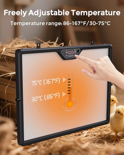 Digital Brooder Heater for Chicks, Remote Control | 180W safe radiant heat, adjustable height, digital thermostat, UL listed 110V, for chicks, ducklings, quail, backyard poultry
