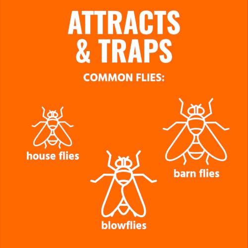 TERRO Fly Magnet Disposable Outdoor Fly Trap with Bait - T524 - Outdoor Fly Trap - Attract & Trap Flies Easily - Effective Insect Control