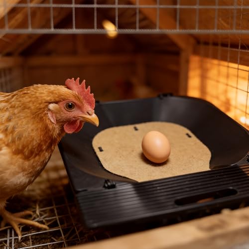 Roll Away Chicken Nesting Box,Lockable Fake Egg & Jute Pad – 2-Height Adjustable Slope – Fits Inside 14"+ Coops – Small to Medium Breeds(3PC)