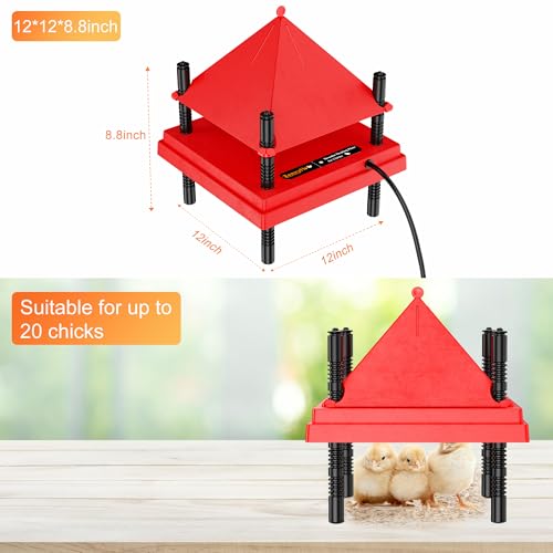 Chick Brooder Heater with Anti-Roost Cone & Constant Temp Red 12" x 12" | Height-adjustable brooder plate for Raising Chicks - size: 12" x 12" with Constant Temperature