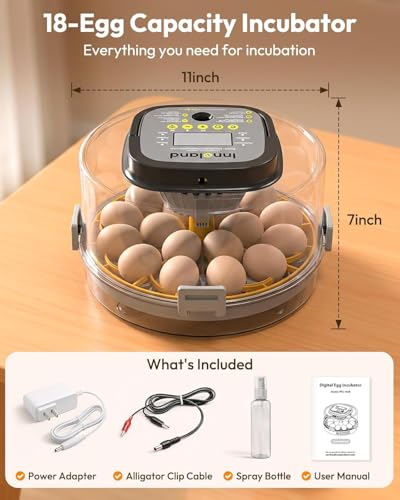 Egg Incubator for Hatching with Temperature Control