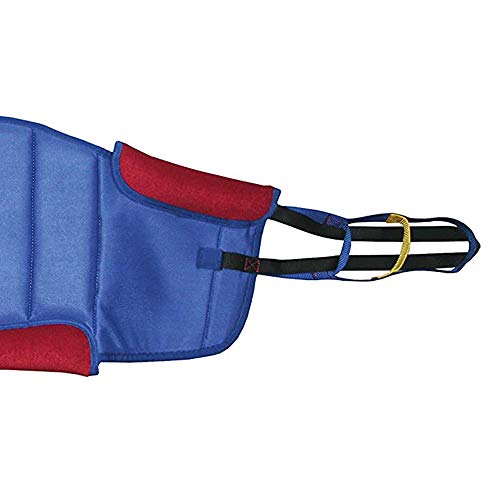 Lumex Deluxe Sit-to-Stand Padded Sling, Small, DSLSA1