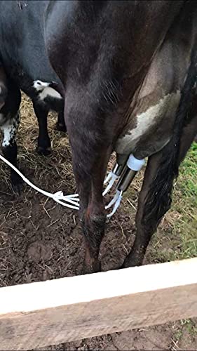 Milking Machine Accessory Cow Teat Cup Complete Set, φ25mm | Hantop UnitedFarm, Tube included, Food-grade material - size: Milk Cluster for Cow