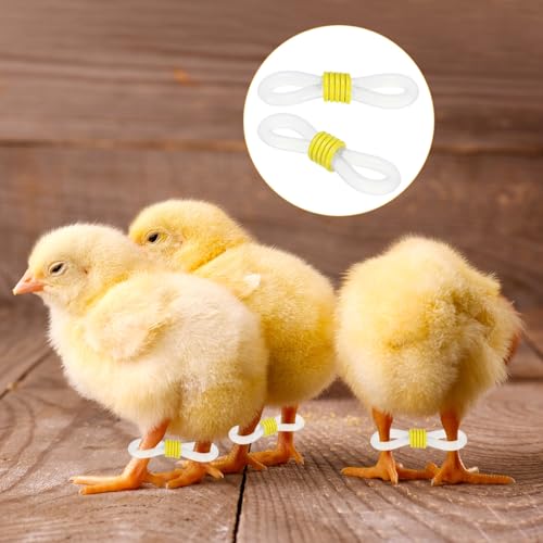 M METERXITY 50-Pack Adjustable Chick Leg Bands, 0.79" x 0.2" Silicone Chicken Leg Brace for Chicks/Ducks/Birds [Yellow] Poultry Leg Bands - color: Yellow