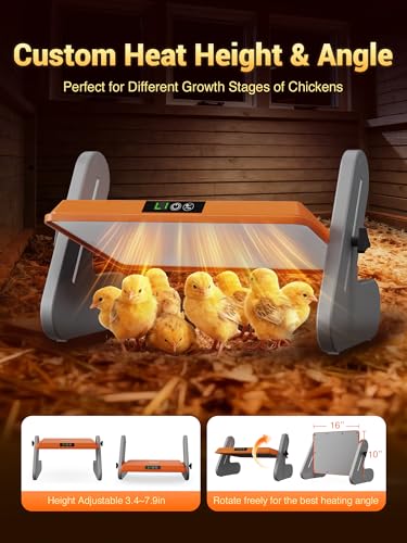 Ficuswin Brooder Heater for 20 Chicks, Chicken Heating Brooder Plate with 3 Adjustable Temp Settings, Safe Coop Heater for Poultry Cage Warmer, 16"x10" Energy Efficient Radiant Heat Pad(ETL Compliant)
