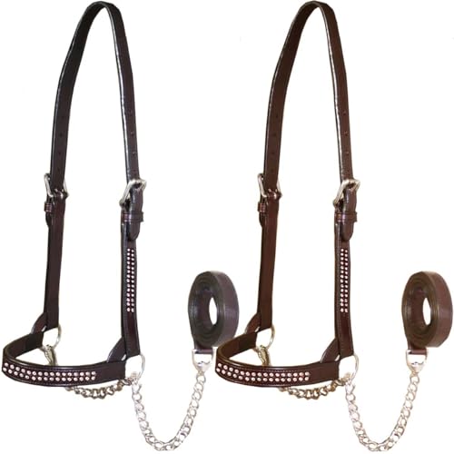 Derby Originals New and Improved Premium Crystal Bling Rhinestone Inlay Flat Leather Cattle Show Halter with Matching Chain Lead - color: Havana, size: Large (950lbs-1500lbs)