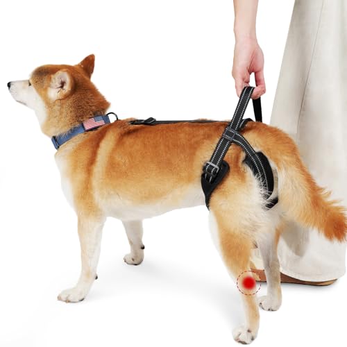 Dog Harness Rear Leg Support for Old Disabled Injured Arthritis Post-op S | Breathable mesh material with reflective strape, adjustable buckle, portable lifting handle, match most dog collars - size: S(Leg Girth: 13.3-18.1")