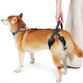 Dog Harness Rear Leg Support for Old Disabled Injured Arthritis Post-op S | Breathable mesh material with reflective strape, adjustable buckle, portable lifting handle, match most dog collars - size: S(Leg Girth: 13.3-18.1")