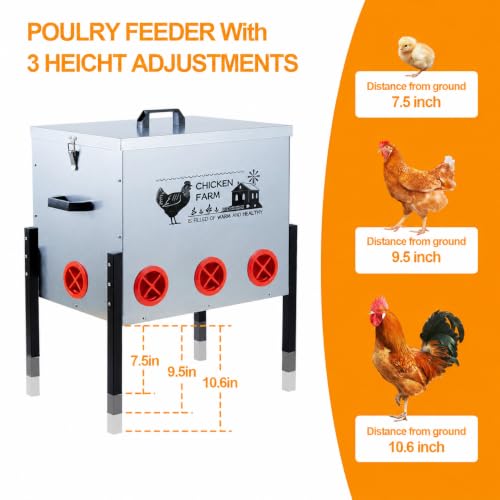 Automatic Chicken Feeder Box 50 lbs, 8 Feeding Ports, No Waste Poultry Feeder with Locking Lid and Adjustable Legs for Chickens, Ducks, Geese Galvanized Metal (50 Lbs-8 Ports) - size: 50 Lbs-8 Ports