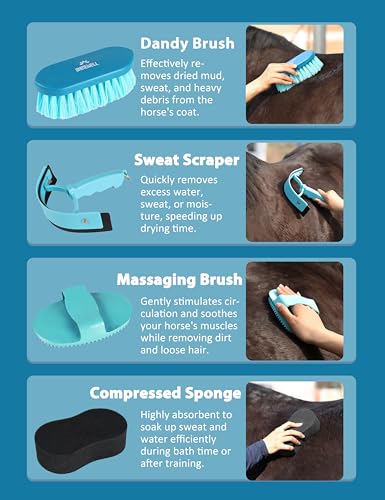 Shinewell Horse Grooming Kit, Complete Horse Brush Set, Equine Grooming Tools for Shedding & Daily Care Blue - color: Blue
