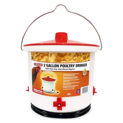 Farm Innovators HB-60P Thermostatically Controlled Heated 2 Gallon Plastic Outdoor Year Round Poultry Chicken Water Bucket Drinker, White/Red | Thermostatically controlled to keep water from freezing, side mounted drip-free/freeze-free nipples for up to 1