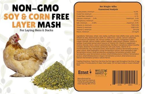 Non-GMO Soy Free-Corn Free Whole Grain Layer Mash (10 lb) - size: 10 Pound (Pack of 1), style: Layer Mash