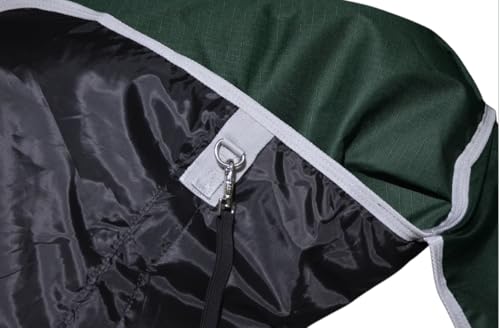 1200D Waterproof Light Weight Poly (100g Fill) Horse Winter Turnout Blanket with Standard Neck AT010002 (Green, 81") - color: Green, size: 81"
